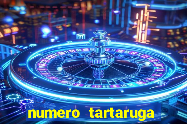 numero tartaruga jogo do bicho